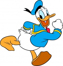 Donald Duck Logo 24 custom vinyl decal