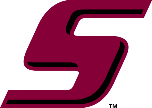 Southern Illinois Salukis 2001-2018 Wordmark Logo heat sticker