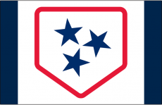 Nashville Sounds 2019-Pres Cap Logo 2 heat sticker