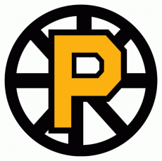 Providence Bruins 2012 13-Pres Primary Logo heat sticker