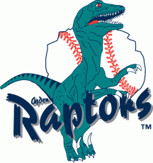Ogden Raptors 2001-2014 Primary Logo heat sticker