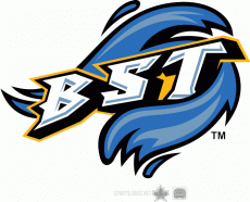 Bridgeport Sound Tigers 2001-2005 Alternate Logo heat sticker