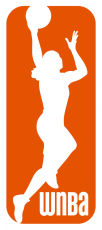 WNBA 2013-2019 Primary Logo custom vinyl decal