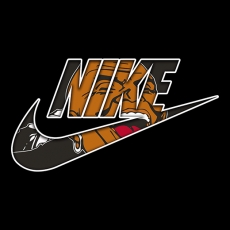 Atlanta Braves Nike logo heat sticker