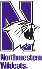 Northwestern Wildcats 1981-Pres Alternate Logo heat sticker